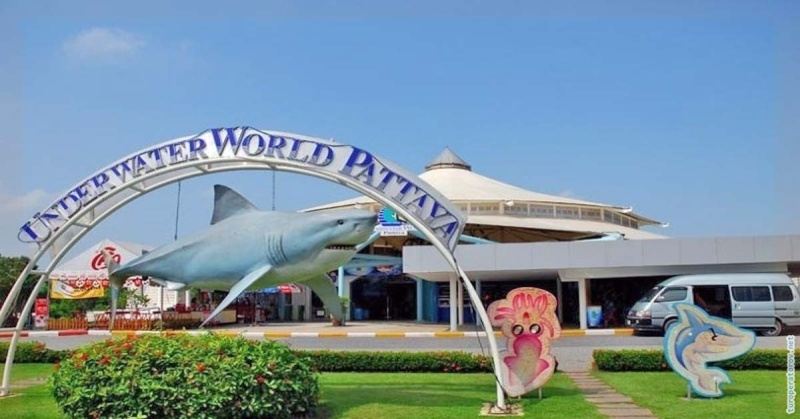 Экскурсия в океанариум Underwater World Pattaya
