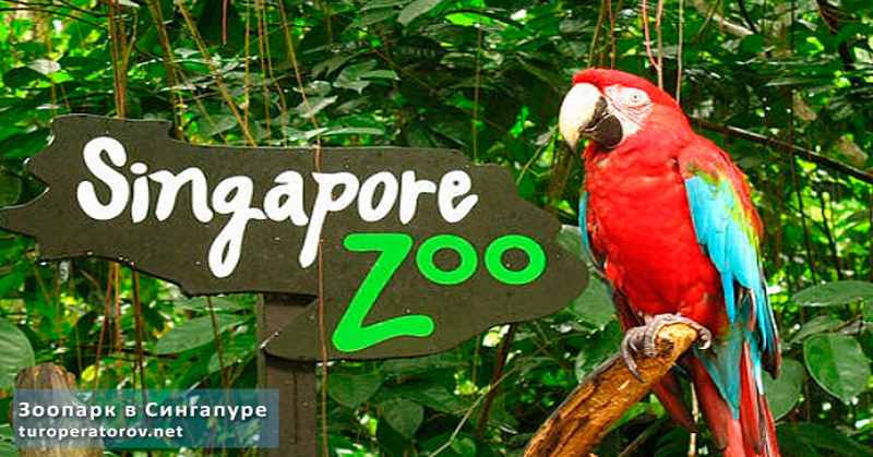 Зоопарк в Сингапуре