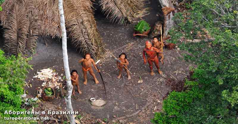 аборигены в Бразилии