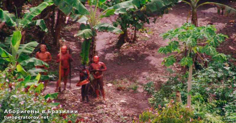 Аборигены в Бразилии