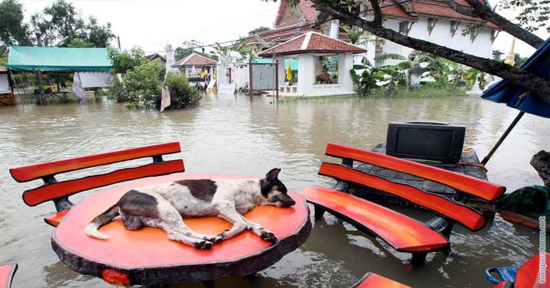 Наводнение на Самуи