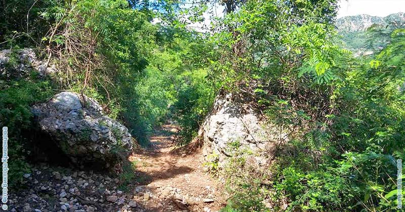 Гаити треккинг по джунглям